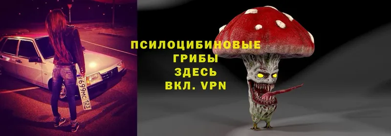 Галлюциногенные грибы Magic Shrooms  купить закладку  Ликино-Дулёво 